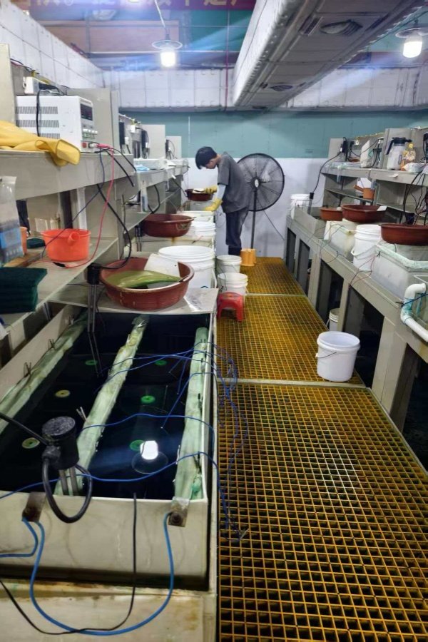 Production Facility