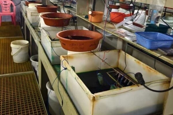 Production Facility