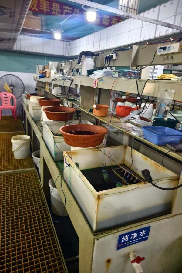 Production Facility