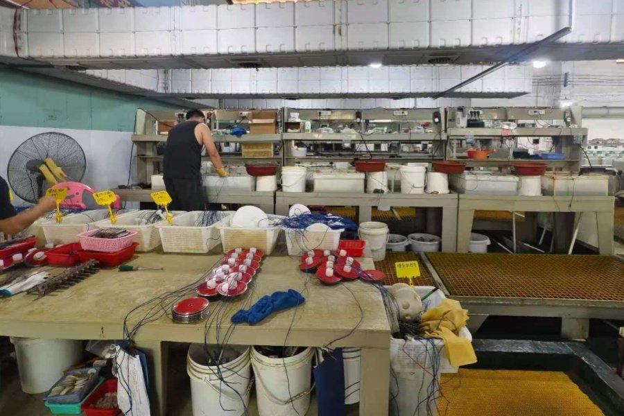 Production Facility