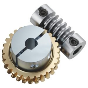 Precision Micro Worm Gears
